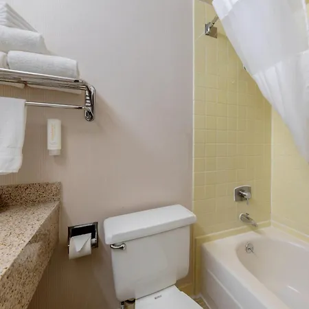 Clarion Hotel Anaheim Resort-3